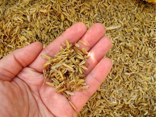 nhiên liệu đốt lò hơi