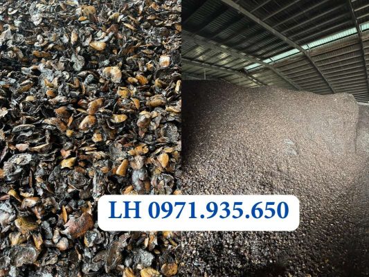 BÃ ĐIỀU, BÃ VỎ ĐIỀU LÀ GÌ? ỨNG DỤNG CỦA BÃ ĐIỀU 3 cung cấp bã vỏ điều